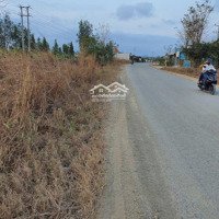 Bán Đất Mặt Tiền Đường Dẫn Cao Tốc Hàm Kiệm - Huyện Hàm Thuận Nam - Tỉnh Bình Thuận
