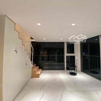 ️Duplex Gác Cao - Nhiều Ánh Sáng️pet Friendly - Ít Chi Phí