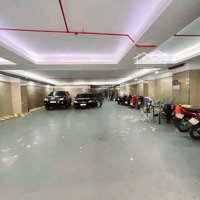 Vip Nhất Mặt Phố Xã Đàn, Đống Đa, 145M2, 145 Tỷ, 8 Tầng, Mặt Tiền 12M, 2 Tang Máy, Tầng Hầm Để Xe