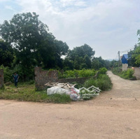 Bán Nhanh Hoa Hậu Lô Góc,Ngay Chân Dự Án Thung Lũng - Thanh Xuân,Mặt Nguyễn Văn Cừ,Kinh Doanh Tốt.