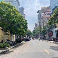 Tòa Nhà Building 8 Tầng Thang Máy Nhập Khẩu Trung Tâm Phú Thượng - Tây Hồ Kinh Doanh Siêu Vip