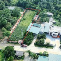 Cơ Hội Vàng! 3.5 Tỷ! 1.000M2 Lô Góc 2 Mặt Tiền, Gần Satoyama Cư Yên, Đường 3 Ô Tô, Phù Hợp Phân Lô!