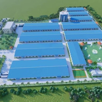 Cần Bán 50.000M2 Công Nghiệp Ngành Dệt May Tại Thanh Hoá, Sd 2073. Đủ Giấy Tờ Chỉ Việc Làm Giá Rẻ