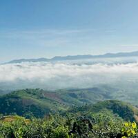 Bán đất view săn mây núi Đại Bình. Sáng nào cũng có mây như hình Lộc Thành, bảo lâm.