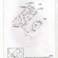 Bán biệt thự sân vườn Quận 3, Trần Quốc Thảo, 12x21m đất, 2 tầng, sổ hồng