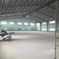 Kho Xưởng Đẹp Mới(1200M2)Mt Cont 40Fix,Trần Cao