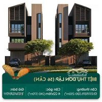 Chính Sách Vay Sycamore Vietcombank Hỗ Trợ Lãi Tốt Nhất Vietcombank: 0913039007 Mr Đồng