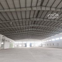 Cho Thuê Kho Xưởng 10.000M2 Tp Thuận An .Binh Dương