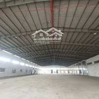 Cho Thuê Kho Xưởng 10.000M2 Tp Thuận An .Binh Dương