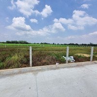 5X30. 150M2 Full Thổ. Đường Bê Tông. Gần Cổng Kcn. 375 Triệu