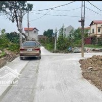 Chính Chủ Bán Lô Cực Đẹp 81M2, Full Thổ Cư. Đường Ô Tô Vào Thoải Mái