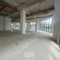 Chính Chủ Cho Thuê Sàn Thương Mại Dịch Vụ Làm Văn Phòng, Chi Nhánh Ngân Hàng, Showroom Ô Tô