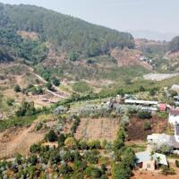 NHANH TAY TẬU NGAY 2 LÔ LIỀN KỀ VIEW CỰC THOÁNG NGAY EM TÀ NUNG COFFEE FARM