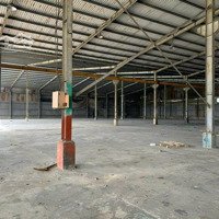 Cho Thuê Kho Xưởng 10.000M2 Hố Nai 3, Trảng Bom