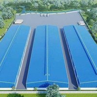 Cho Thuê 4500M2 Đất Có 3000M2 Kho Nhà Xưởng Khu Công Nghiệp Hòa Khánh, Liên Chiểu, Đà Nẵng.