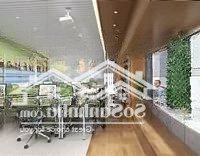 Chủ Đầu Tư Cần Cho Thuê 100M2 Văn Phòng Tại Tòa Pvoil Mặt Phố Hoàng Quốc Việt, Hà Nội. Giá Ưu Đãi