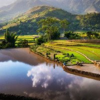 Cho Thuê Phòng Cao Cấp , Sát Sân Bay