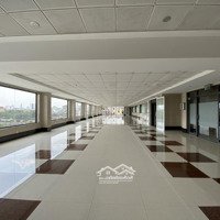 Duy Nhất Toà Nhà 5000M2 Sàn Mặt Tiền Bình Đông, Quận 8 Cho Thuê Chỉ 550 Triệu/Th