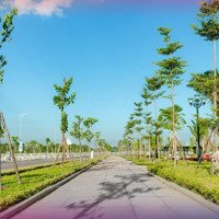 Siêu Phẩm Đầu Tư Hấp Dẫn Bậc Nhất Năm 2024 Đã Ra Mắt Tại Tp Tam Kỳ Centura City