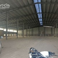 Cho Thuê Xưởng Và Đất Hơn 6000M2 Tại Thiện Tân, Vĩnh Cửu, Đồng Nai