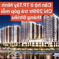 Căn Hộ Cao Cấp Ngay Trung Tâm Tp.tây Ninh Mà Chỉ 299 Triệu