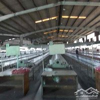 Cho Thuê Xưởng 4000M2 Mặt Tiền Ql51 Long Bình Tân Biên Hòa.