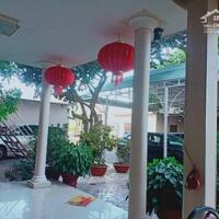 CHÍNH CHỦ CẦN BÁN LÔ ĐẤT SIÊU VIP ĐƯỜNG NGUYỄN THÔNG, PHÚ HÀI, TP.PHAN THIẾT