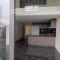 Căn Hộ Duplex 120M2 - 3 Phòng Ngủsunsine Palace Lĩnh Nam