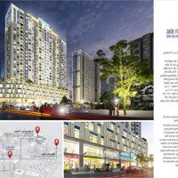 Suất Ngoại Giao, Trực Tiếp Từ Chủ Đầu Tư Dự Án Handico Complex