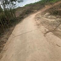 Cần bán lô đất rừng sản xuất quy hoạch cây lâu năm tại Suối Thơm ,xã Khánh Đông, Khánh Vĩnh
