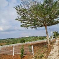 Chính chủ bán lô đất phù hợp làm farm tại Lâm Đồng đất có sẵn thổ cư