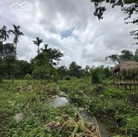 Phong Thủy Quan Niệm Nước Trong Nhà Là Tụ Thủy, Tụ Lộc, Em Bán Lô Đất Tại Tân Lạc Suối Trong Đất