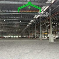 Cho Thuê Kho Xưởng 1500M2 Giá Tốt Tại Phường Phước Long B, Thủ Đức