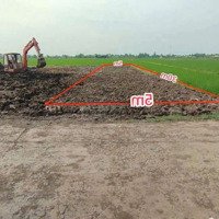 Nền Thổ 5 X 30M Đã San Lấp Cách Ubnd Trường Trạm 1Km