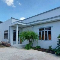 Bán Nhà Cấp 4 Full Thổ Cư Hơn 300M2 Ngang 12×26M Nguyễn Văn Tạonhà Bè