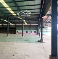 Kho Xưởng (3000M²) Trần Đại Nghĩa, Bình Chánh