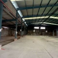 Kho Xưởng (3000M²) Trần Đại Nghĩa, Bình Chánh