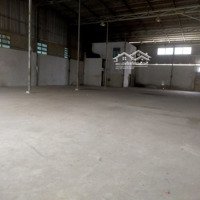 Cho Thuê Kho 440M2, Đường Phan Anh, Cont40F Vào, Bảo Vệ 24H