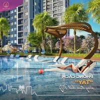 Bán 1 Phòng Ngủ 45M2 Gs6 Miami, Vinhomes Smart City Căn Đn View Nội Khu Bể Bơi Tầng Trung 26, Tttđ 2,82 Tỷ