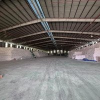 Cho Thuê Nhà Xưởng Trong Khu Công Nghiệp Bình Phước 5.000M2 Đến 50.000M2. Theo Nhu Cầu Sử Dụng