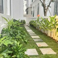 Cần Bán Nhanh Căn Bt Đơn Lập,Diện Tích200 M2, Hướng Đ. Nam, Giá Hơn 30 Tỉ !