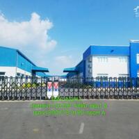 Cho thuê kho,xưởng mới xây khu Văn Giang, Hưng Yên DT 500m2 đến 100.000m2
