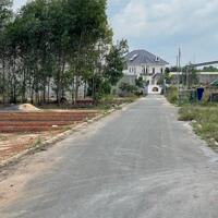 Bán đất cạnh khu công nghiệp Giang Điền MT đường Trần Vĩnh Lộc 12m