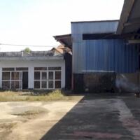 Cho thuê kho xưởng 2000m2 gần đường Võ Nguyên Giáp, Phước Tân, Biên Hòa, Đồng Nai