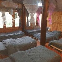 Chính Chủ Cần Bán Gấp Homestay Xã Mường Hoa, Sa Pa 4,5 Tỷ