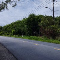 Gần 1 Hecta Đất Mặt Tiền Đường Nguyễn Thị Rành Củ Chi 38 Tỷ Tl