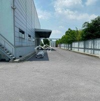 Cho Thuê 3200 M2 , 6400 M2 , 9500M2 Xưởng Mới Trong Kcn Bến Cát , Gía Rẻ Nhất