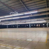 Cho Thuê 15.000M2 Xưởng Pccc Tự Động Thuận An