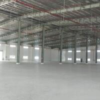 Cho thuê Xưởng mới 12.000m2, Gía : 95.000 đ/m²/tháng trong KCN Bầu Bàng Bình Dương