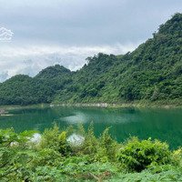 Cần Bán Mảnh Đất Bám Hồ Hòa Bình, Tay Chạm Nước Phiên Bản Giới Hạn